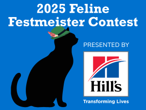 Feline Festmeister