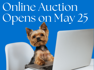 Online Auction