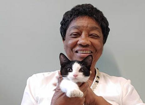 Clear the Shelters 8/17