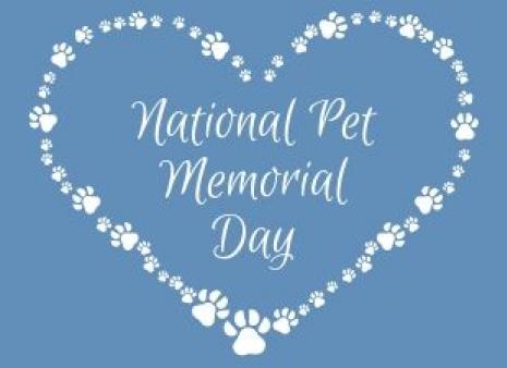 National Pet Memorial Day