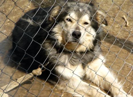 Cruelty & Neglect