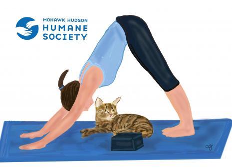 Yoga With Cats