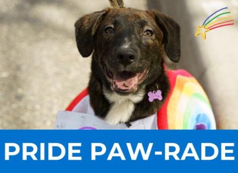 Pride Paw-rade graphic