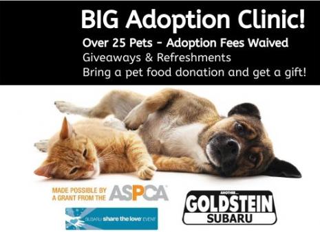 Share the Love Adoption Info