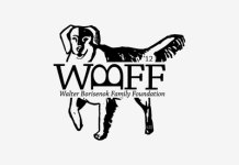 Walter Borisenok Family Foundation